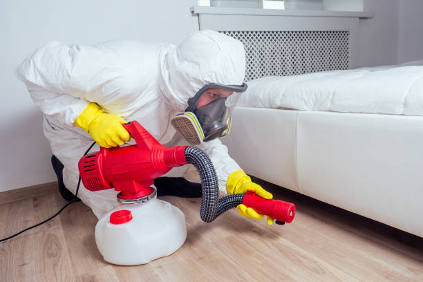 Best Flea Control Services  in Cheat Lake, WV