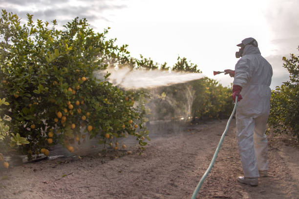 Best Pest Prevention Services  in Cheat Lake, WV