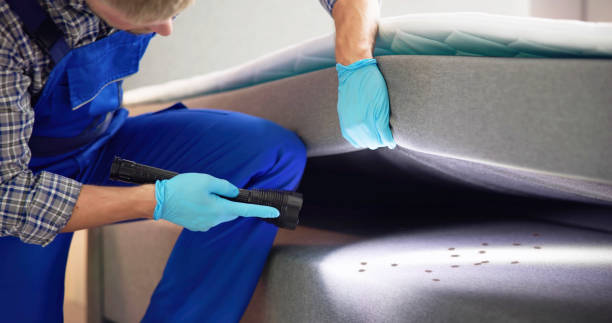 Best Pest Inspection Near Me  in Cheat Lake, WV